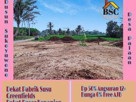  Land for sale in Malang Regency, East Jawa, Ngajum, Malang Regency