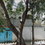 Maison 5 chambre à vendre à Naucalpan De Juarez, Mexico, Naucalpan De Juarez