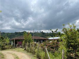 Estudio Casa en venta en Colombia, Salento, Quindio, Colombia