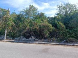  Grundstück zu verkaufen in Merida, Yucatan, Merida