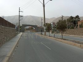  Terreno (Parcela) en venta en Lurigancho, Lima, Lurigancho