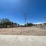  Land for rent in Jesus Maria, Aguascalientes, Jesus Maria