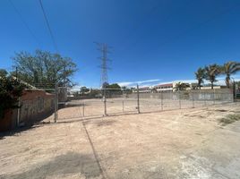  Land for rent in Jesus Maria, Aguascalientes, Jesus Maria