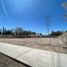  Land for rent in Jesus Maria, Aguascalientes, Jesus Maria