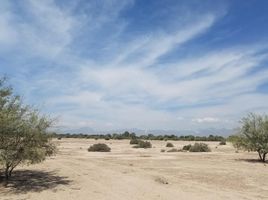  Terreno (Parcela) en venta en Torreon, Coahuila, Torreon