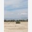  Terreno (Parcela) en venta en Torreon, Coahuila, Torreon