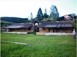  House for sale in Guarne, Antioquia, Guarne
