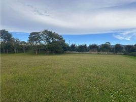  Terreno (Parcela) en venta en La Ceja, Antioquia, La Ceja, Antioquia, Colombia