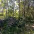  Land for sale in Temozon, Yucatan, Temozon