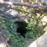  Land for sale in Temozon, Yucatan, Temozon