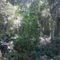  Land for sale in Temozon, Yucatan, Temozon