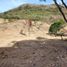  Terrain for sale in Penonome, Cocle, Penonome, Penonome