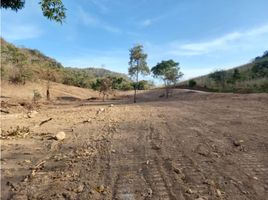  Land for sale in Penonome, Cocle, Penonome, Penonome