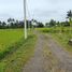  Land for sale in Ubud, Gianyar, Ubud