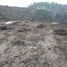  Land for sale in Manzanillo, Colima, Manzanillo, Colima
