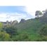  Land for sale in Marinilla, Antioquia, Marinilla