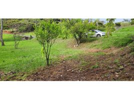  Terrain for sale in Tocumen, Panama City, Tocumen