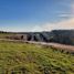  Land for sale in Chile, Puerto Montt, Llanquihue, Los Lagos, Chile