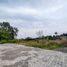  Land for sale in Yogyakarta, Kalasan, Sleman, Yogyakarta