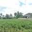  Land for sale in Dramaga, Bogor, Dramaga