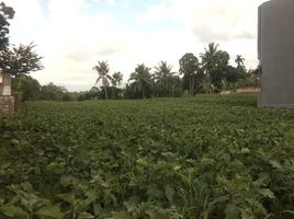  Land for sale in Dramaga, Bogor, Dramaga