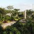  Grundstück zu verkaufen in Conkal, Yucatan, Conkal