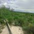  Land for sale in Vanegas, San Luis Potosi, Vanegas