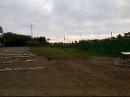 Terrain à louer à Tihuatlan, Veracruz, Tihuatlan, Veracruz