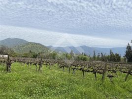 Land for sale in Chile, Buin, Maipo, Santiago, Chile