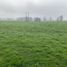  Land for sale in Chile, Purranque, Osorno, Los Lagos, Chile