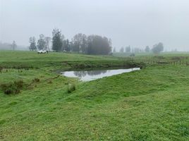  Land for sale in Chile, Purranque, Osorno, Los Lagos, Chile