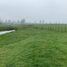  Land for sale in Chile, Purranque, Osorno, Los Lagos, Chile