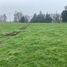  Land for sale in Chile, Purranque, Osorno, Los Lagos, Chile
