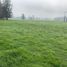  Land for sale in Chile, Purranque, Osorno, Los Lagos, Chile