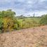  Land for sale in Lebrija, Santander, Lebrija