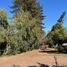  Terreno (Parcela) en venta en Chile, San Jode de Maipo, Cordillera, Santiago, Chile