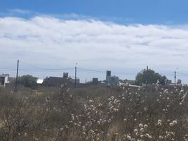  Grundstück zu verkaufen in Biedma, Chubut, Biedma
