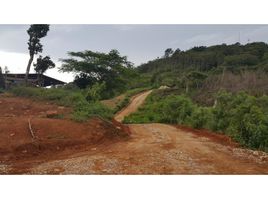 Estudio Villa en venta en La Pintada, Coclé, Llano Grande, La Pintada