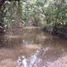  House for sale in Suarez, Tolima, Suarez