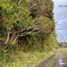  Terreno (Parcela) en venta en Chile, Puerto Montt, Llanquihue, Los Lagos, Chile