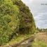  Terreno (Parcela) en venta en Chile, Puerto Montt, Llanquihue, Los Lagos, Chile
