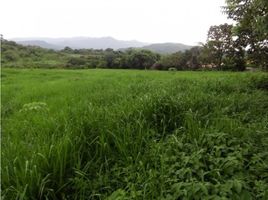  Land for sale in Las Lajas, Chame, Las Lajas