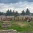  Terreno (Parcela) en venta en Lagunillas, Michoacán, Lagunillas