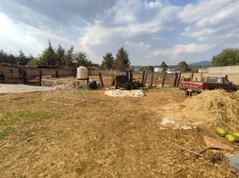  Terreno (Parcela) en venta en Lagunillas, Michoacán, Lagunillas