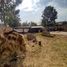  Terreno (Parcela) en venta en Lagunillas, Michoacán, Lagunillas