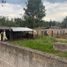  Terreno (Parcela) en venta en Lagunillas, Michoacán, Lagunillas