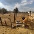  Terreno (Parcela) en venta en Lagunillas, Michoacán, Lagunillas