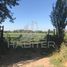  Terreno (Parcela) en venta en Chile, Linares, Linares, Maule, Chile