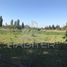  Terreno (Parcela) en venta en Chile, Linares, Linares, Maule, Chile