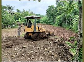  Land for sale in Bantul, Yogyakarta, Pajangan, Bantul